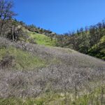 Photo 10 for Lake County Ranch