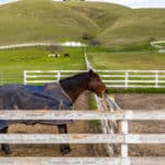 Photo 50 for Willow and Wolf Ranch