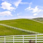Photo 41 for Willow and Wolf Ranch