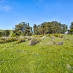 Photo 5 for Historic O'Connor Ranch