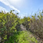 Photo 7 for Historic O'Connor Ranch