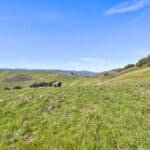 Photo 55 for Historic O'Connor Ranch