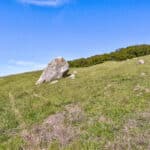 Photo 58 for Historic O'Connor Ranch