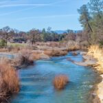 Photo 98 for GR Ranch on Cottonwood Creek