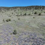 Photo 68 for Wildflower Ranch