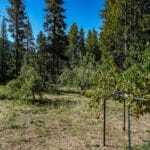 Photo 54 for Eagle's Rest Ranch