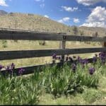 Photo 31 for Omira Ranch