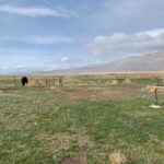 Photo 34 for Omira Ranch