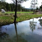 Photo 3 for Johnson Creek Meadow