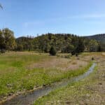 Photo 1 for Scarface Acreage