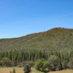 Photo 1 for East Road Ragland Gulch Acreage
