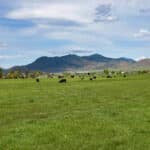 Photo 11 for Lorenzini Ranch