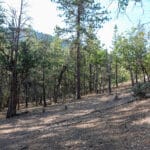 Photo 18 for East Road Ragland Gulch Acreage