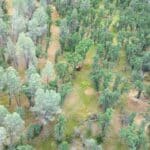 Photo 12 for GR 54 Acres on Cottonwood Creek