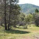 Photo 11 for Scarface Acreage