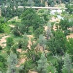Photo 15 for GR 54 Acres on Cottonwood Creek