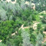 Photo 17 for GR 54 Acres on Cottonwood Creek