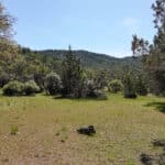Photo 13 for Scarface Acreage