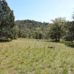 Photo 14 for Scarface Acreage