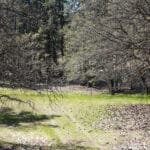 Photo 15 for Scarface Acreage