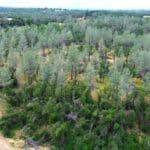 Photo 16 for GR 54 Acres on Cottonwood Creek