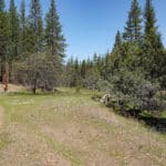Photo 16 for Scarface Acreage