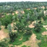 Photo 20 for GR 54 Acres on Cottonwood Creek