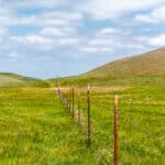 Photo 20 for Pritchard Sumner Ranch