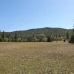Photo 18 for Scarface Acreage
