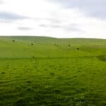 Photo 21 for Pritchard Sumner Ranch