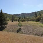 Photo 19 for Scarface Acreage