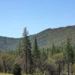 Photo 2 for East Road Ragland Gulch Acreage