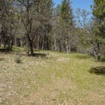 Photo 3 for East Road Ragland Gulch Acreage