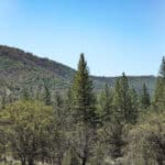 Photo 4 for East Road Ragland Gulch Acreage