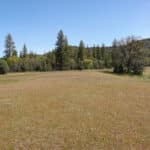 Photo 20 for Scarface Acreage
