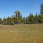 Photo 21 for Scarface Acreage