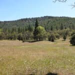 Photo 22 for Scarface Acreage
