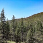 Photo 30 for East Road Ragland Gulch Acreage
