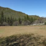 Photo 23 for Scarface Acreage
