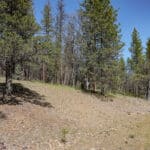 Photo 31 for East Road Ragland Gulch Acreage