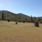 Photo 24 for Scarface Acreage