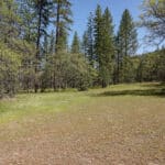 Photo 25 for Scarface Acreage