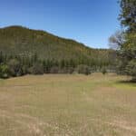 Photo 26 for Scarface Acreage