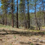 Photo 36 for East Road Ragland Gulch Acreage