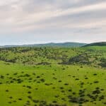 Photo 31 for Pritchard Sumner Ranch