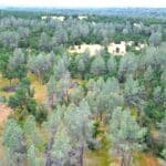 Photo 4 for GR 54 Acres on Cottonwood Creek