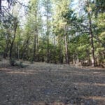 Photo 7 for East Road Ragland Gulch Acreage