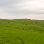 Photo 6 for Pritchard Sumner Ranch