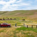 Photo 35 for Pritchard Sumner Ranch