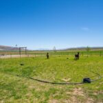 Photo 96 for Lassen Hay Ranch